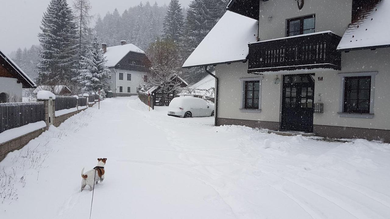 Apartman Irvin Kranjska Gora Exterior photo